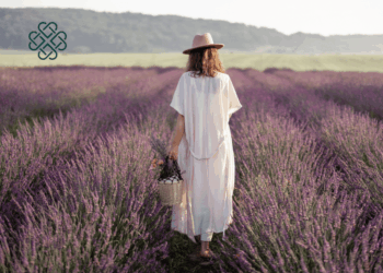 Dāha Wellness – The Herbal Travel Companion Talk
