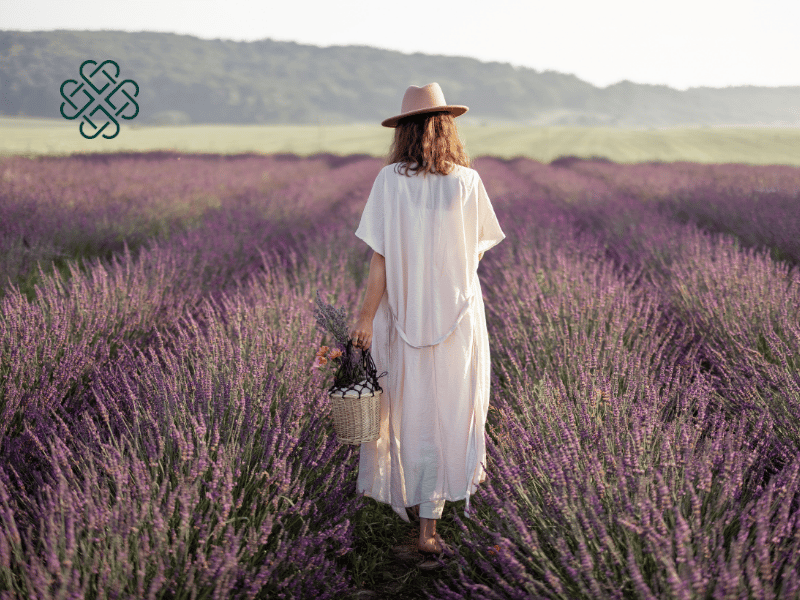 Dāha Wellness – The Herbal Travel Companion Talk