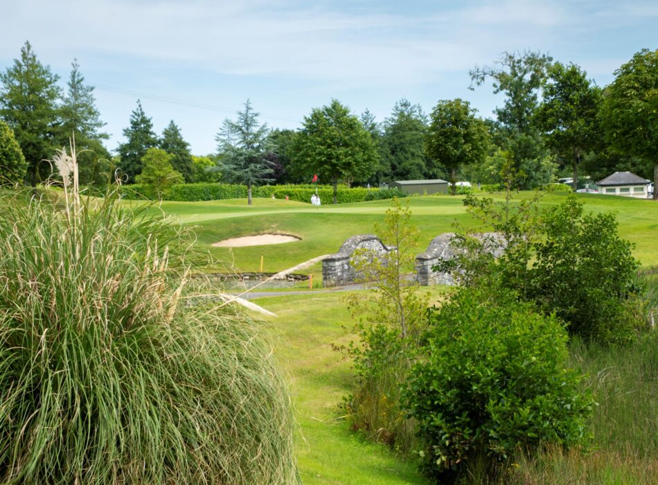 A picturesque daylight shot of a golf course hole. In the left foreground, a large, bushy clump of green pampas grass stands near a calm water hazard. A quaint gray stone bridge arches over a small creek, leading toward a manicured green with a single sand bunker. In the background, a row of mature deciduous and evergreen trees lines the fairway under a soft, slightly overcast sky.