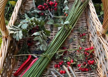 TSEAC – Herbs, Hexes and Halloween