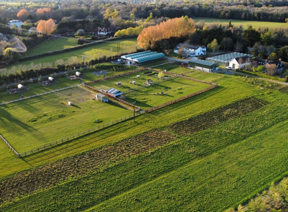 **Alt text:** Aerial view of Hidden Acres in Malahide, showing glamping pods, animal paddocks and farm buildings surrounded by expansive green fields and countryside.