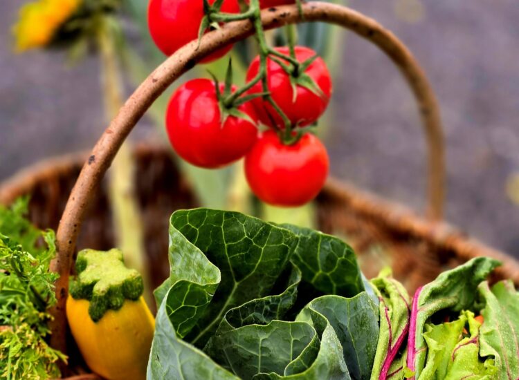 A high-angle, close-up shot of a rustic brown woven basket packed with a vibrant garden harvest. A cluster of bright red tomatoes on the vine hangs prominently over the basket's wooden handle. Inside the basket, there is a bunch of dark green leafy greens with prominent veins, leafy Swiss chard with striking magenta-pink stems, a yellow summer squash or zucchini, and leafy green carrot tops or herbs against a soft, blurred background.
