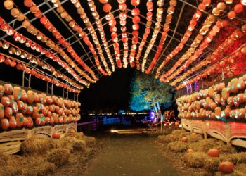 A nighttime view looking down a dark paved path covered by a massive metal archway structure. The curved ceiling overhead is covered in neat, parallel lines of glowing orange jack-o'-lanterns. The left and right sides of the walkway feature stacked wooden panel walls holding dozens more carved pumpkins lit with warm orange and teal lights. Rectangular hay bales line the bottom of both walls with a few loose uncarved pumpkins scattered on top. In the distant background, a tree is illuminated with bright blue spotlighting.
