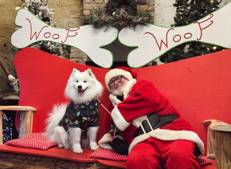 Newbridge House & Farm – Santa Paws