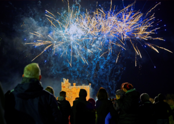 A crowd of people watch blue and yellow fireworks explode spectacularly over a bright lit castle. Only the back of the crowds heads can be seen.