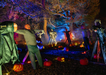 A short of scare crows with pumpkins for heads. It is night time and blue and purple lights highlight the pumpkins. Some of the scarecrows are in the shadows, some wear shirts and trousers. There are pumpkins lining the ground and a tree in the background.
