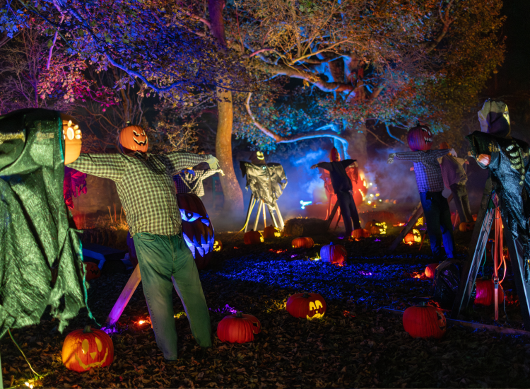 Family-friendly Events for Halloween