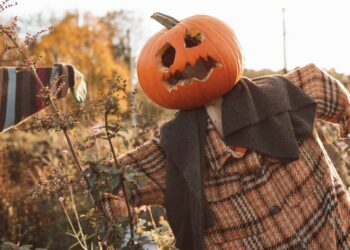 Skerries Mills – Scarecrow Festival