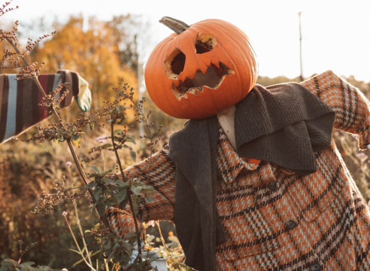 Skerries Mills – Scarecrow Festival