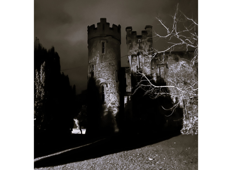 An old stone castle with a prominent round tower illuminated by artificial lighting at night, featuring battlements and slit windows. Dark green grass and bare tree branches appear in the foreground against a cloudy night sky.