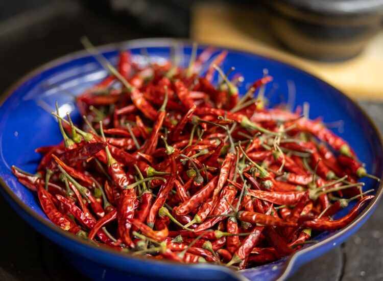 Howth Castle Cookery School – Feast of Samhain Autumn Foraging, Botanical Remedies and Sorcery Workshop