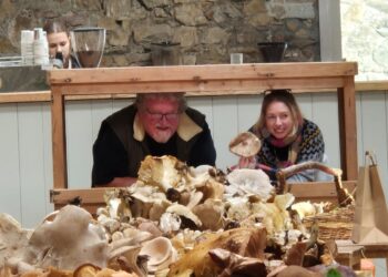 Howth Foraging – Samhain Fungi Event with Bill & Nicole