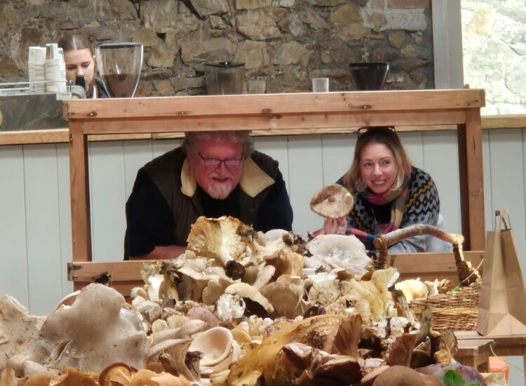 Howth Foraging – Samhain Fungi Event with Bill & Nicole