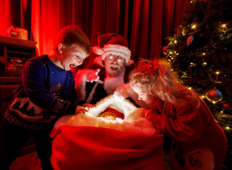 Santa at Malahide Castle & Gardens