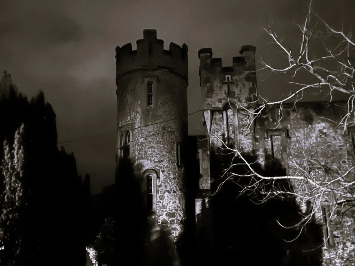 An old stone castle with a prominent round tower illuminated by artificial lighting at night, featuring battlements and slit windows. Dark green grass and bare tree branches appear in the foreground against a cloudy night sky.